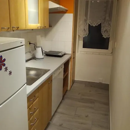 Apartment Apartman Mirova 472 B