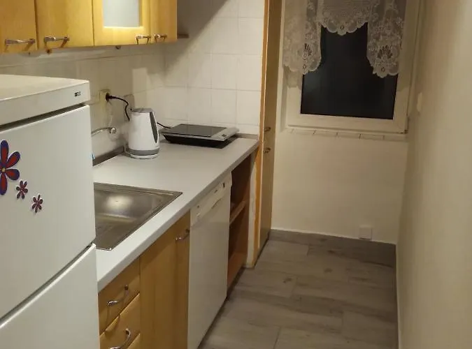 Apartment Apartman Mirova 472 B